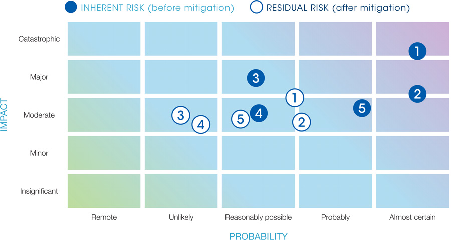 Material risks graph